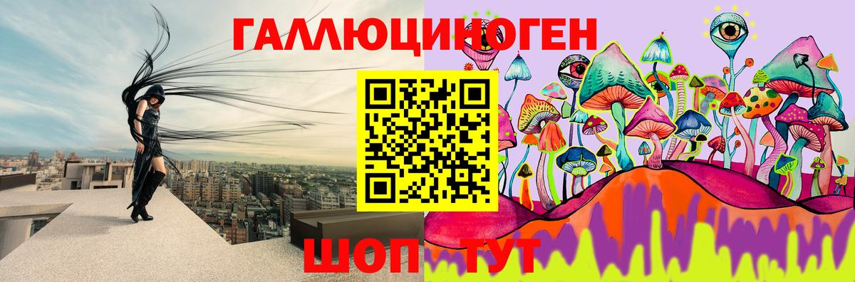 Псилоцибиновые грибы Psilocybine cubensis Дзержинск