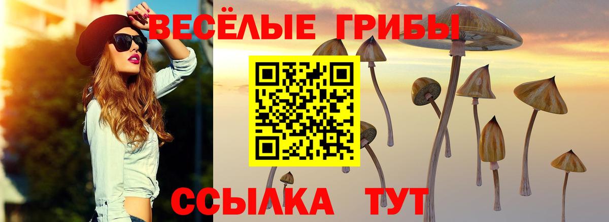 Галлюциногенные грибы Psilocybe  Вход с VPN  Дзержинск  Псилоцибиновые грибы MAGIC MUSHROOMS 